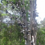 Arbre à chaussures